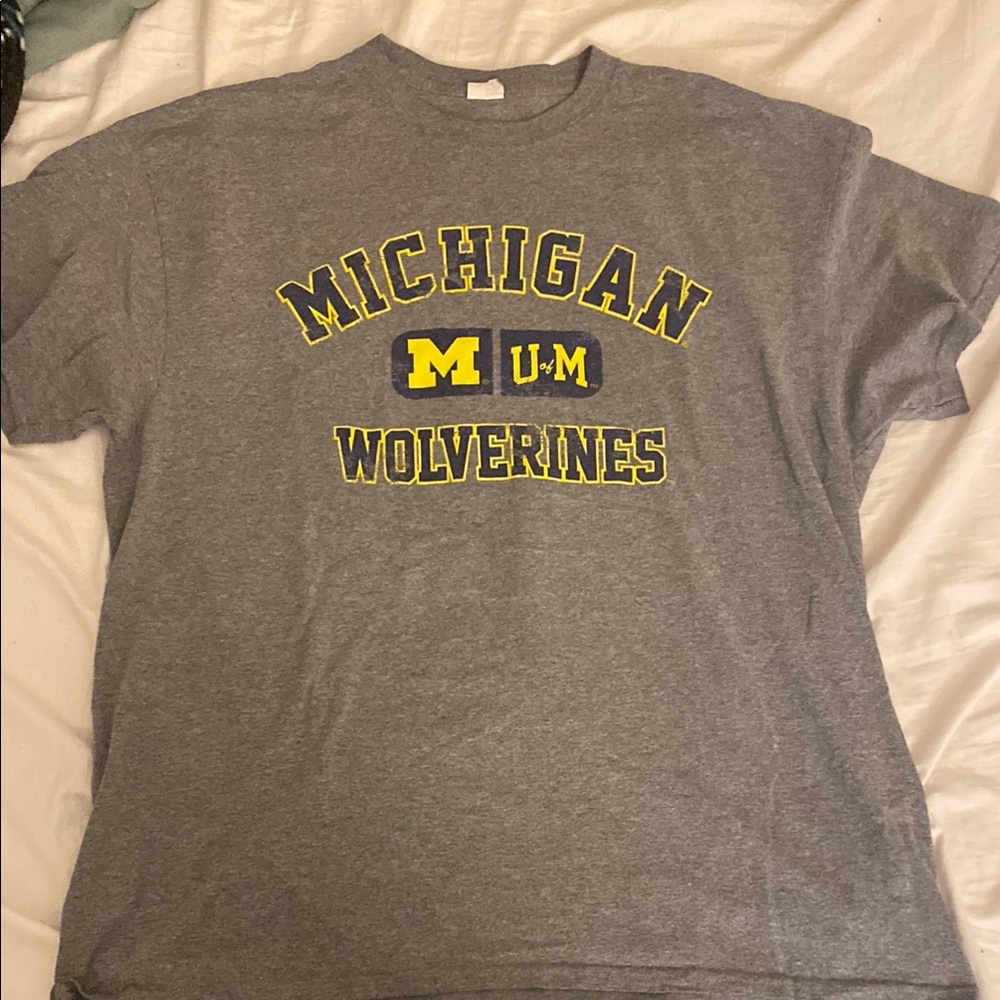 Gray Michigan Wolverines T-Shirt